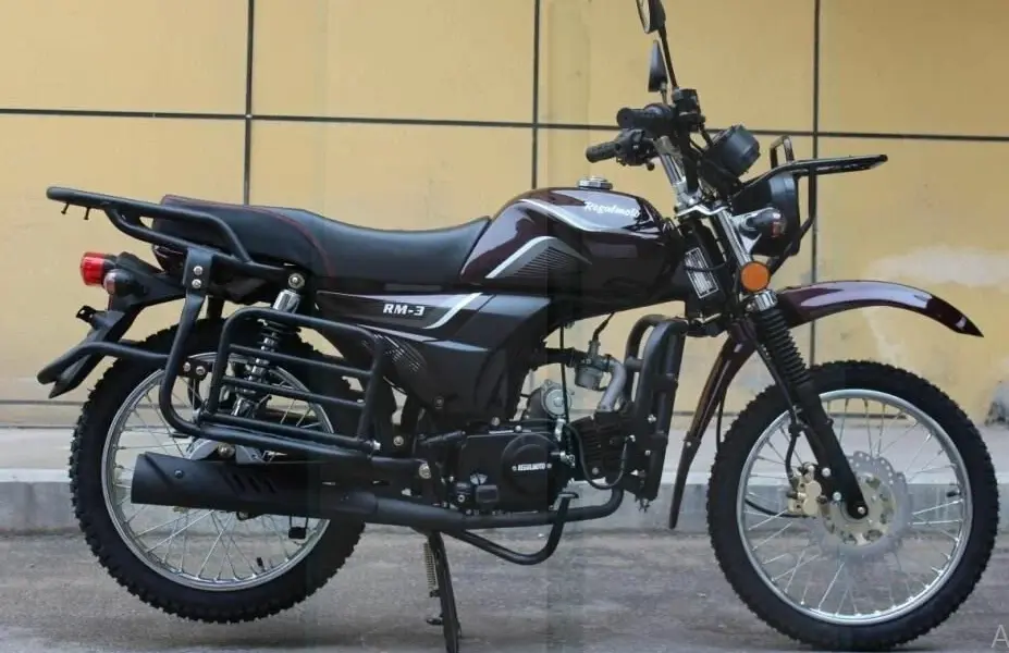 Picture of the author